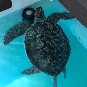 Meet your Posher, Jayme